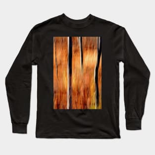 Autumn Abstract #2 Long Sleeve T-Shirt